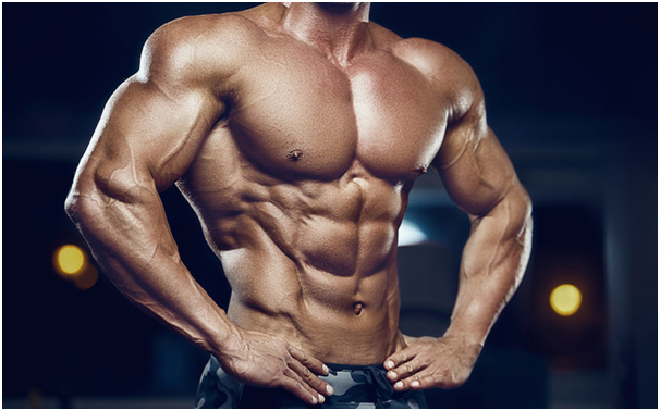 The Best Steroids for Bodybuilding and Muscle Growth